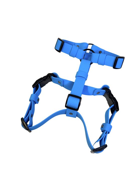 HEXA HARNESS-SKY BLUE